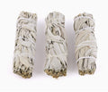 Sage Herb